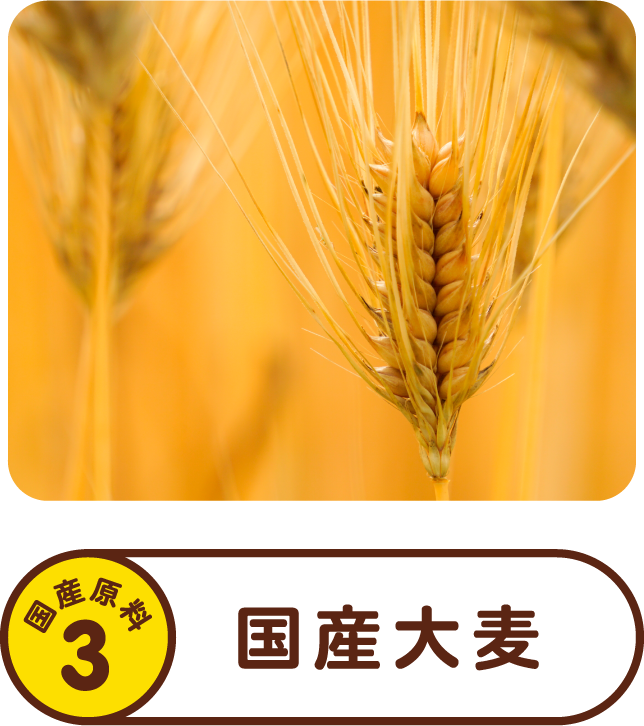 国産材料3 国産大麦